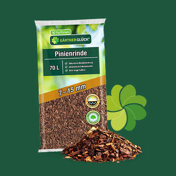 Gaertnerglueck Bubblenavi Pinienrinde